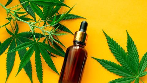 cbd could boost your wellness